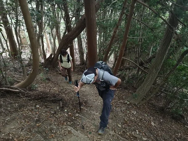 画像8