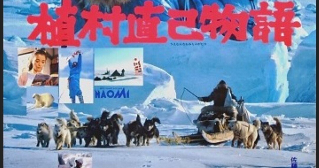 313f1120a9a01cbb0886651de92114