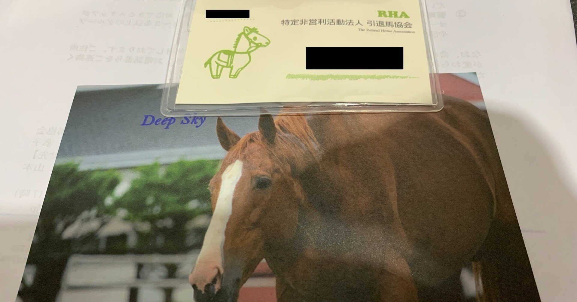 ウマ娘から入った競馬新参が引退馬支援を始めた理由 ストーム叉焼 Note