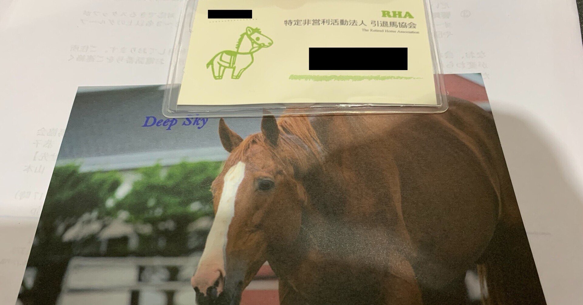 ウマ娘から入った競馬新参が引退馬支援を始めた理由 ストーム叉焼 Note ウマ娘から入った競馬新参が引退馬支援を始めた理由 ストーム叉焼 Note