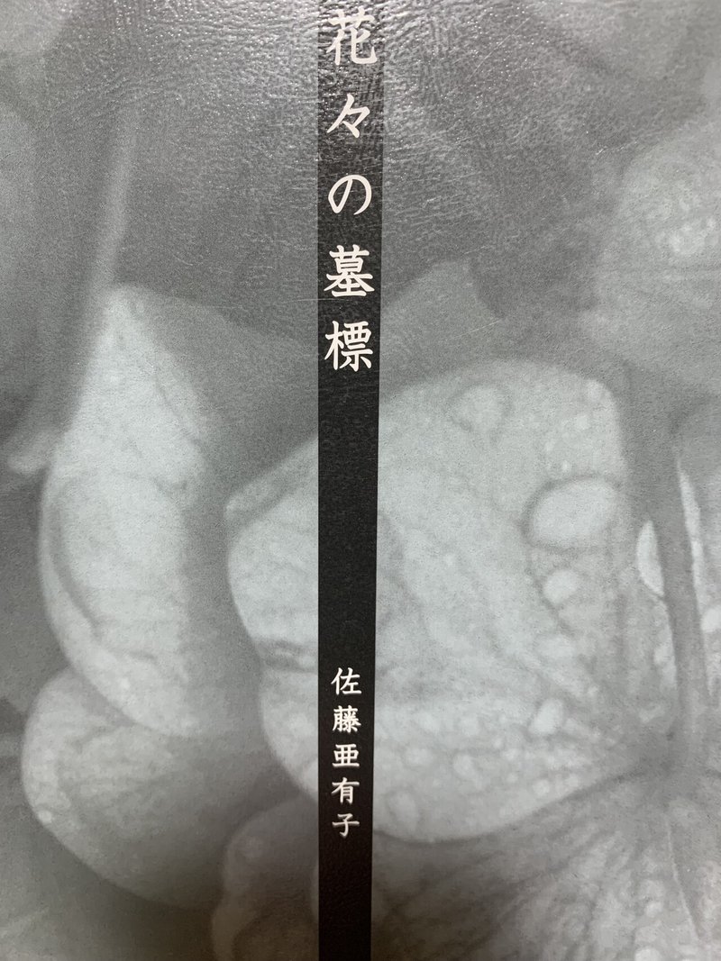 画像1を拡大表示