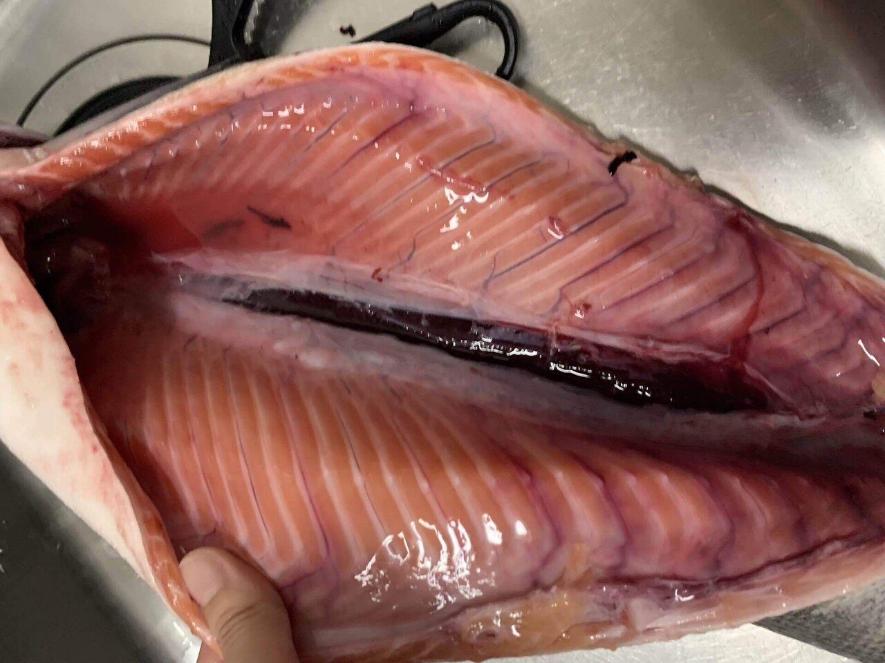 とにかくqolを向上したい人の鮭といくら とにかく食でqolを向上したい人のブログ Note とにかくqolを向上したい人の鮭といくら とにかく食でqolを向上したい人のブログ Note