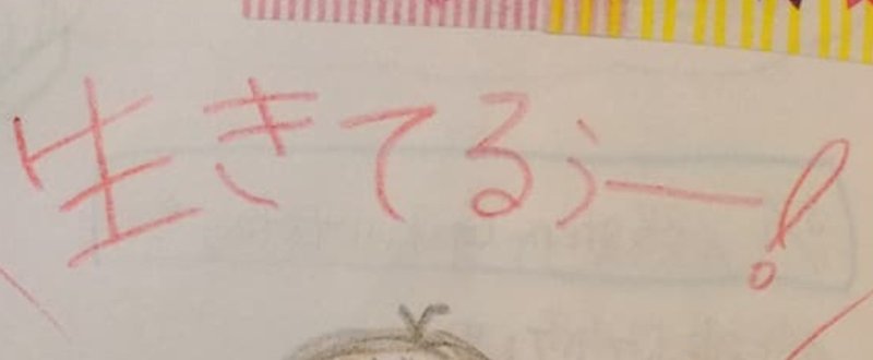 〝生きている〟実感が強くなった～絵日記学を学んで私ができるようになったこと～誕生日に思ったこと。改めて決意したこと。