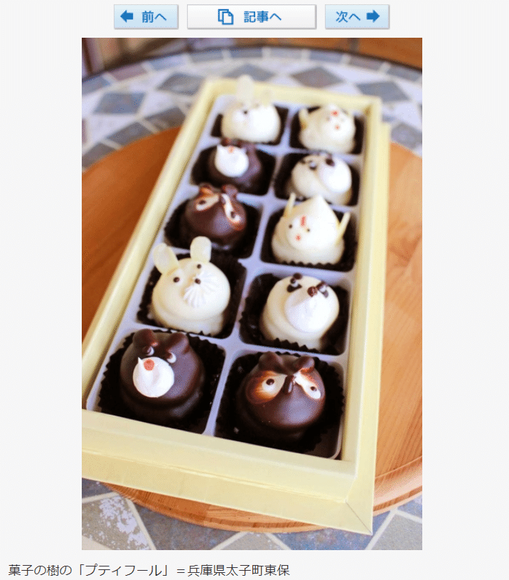 絶滅危惧種?!昭和の定番🦝たぬきケーキ｜きむいさ