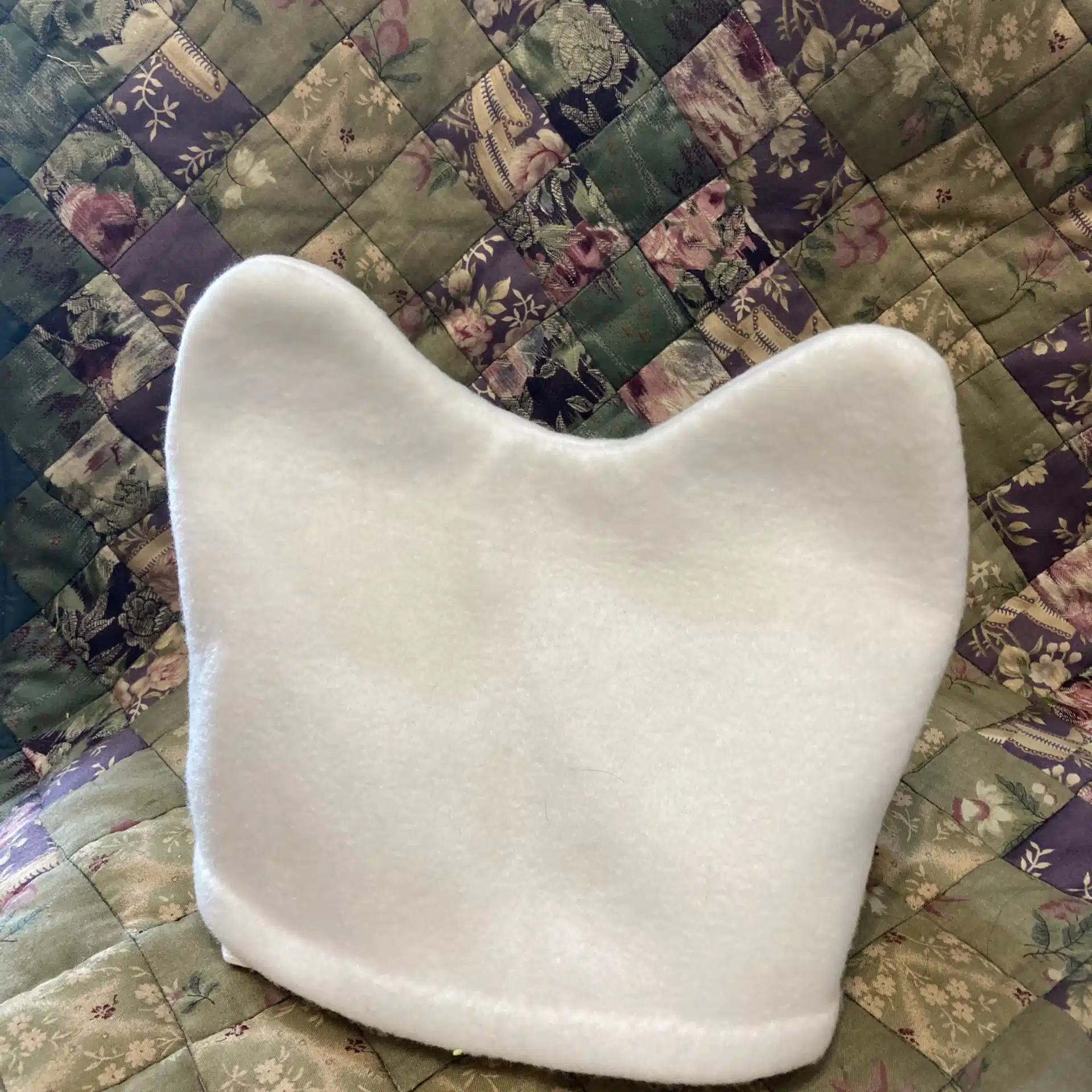 かわい　いねこ　白杖を持つ白猫