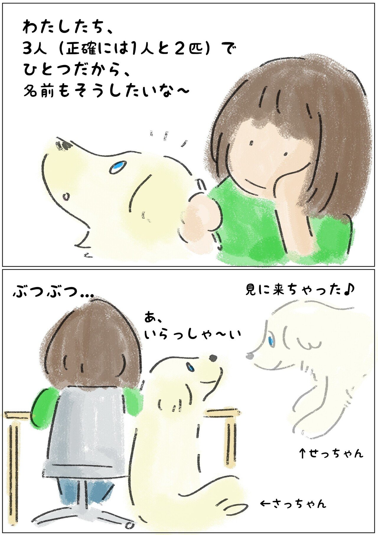 不思議な名前の由来 犬と暮らすイラストレーター セツサ チアキ Note