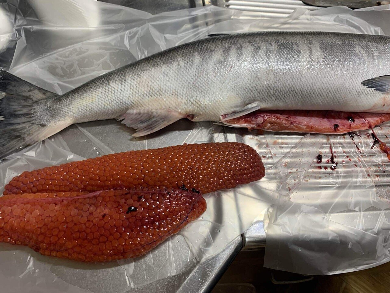 とにかくqolを向上したい人の鮭といくら とにかく食でqolを向上したい人のブログ Note とにかくqolを向上したい人の鮭といくら とにかく食でqolを向上したい人のブログ Note