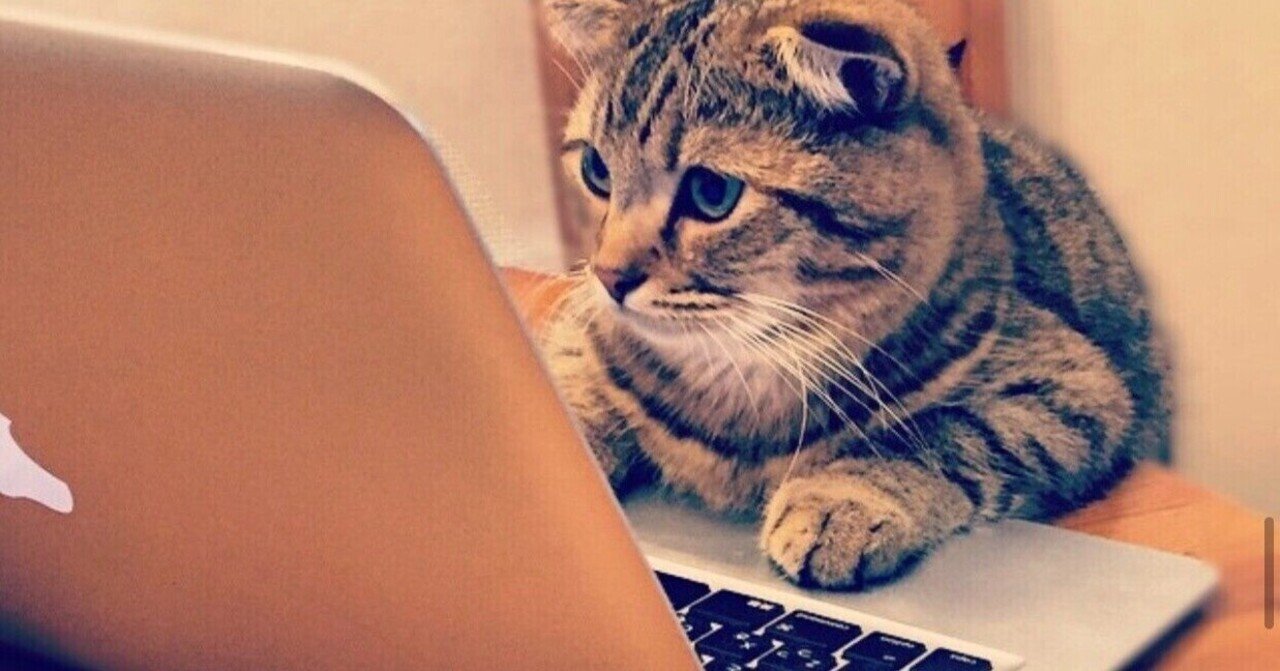 動画のデータダイエットとは データ量を圧縮しよう 永谷研一 ネットマン社長ブログ 動画のデータダイエットとは データ量を圧縮しよう 永谷研一 ネットマン社長ブログ