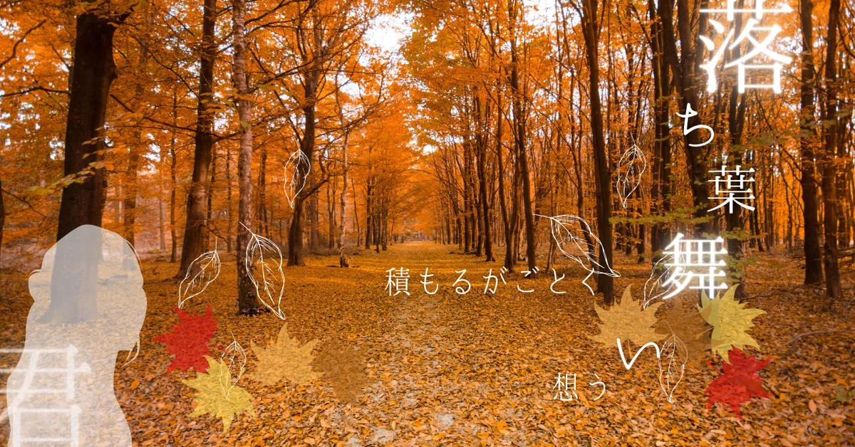 画像14