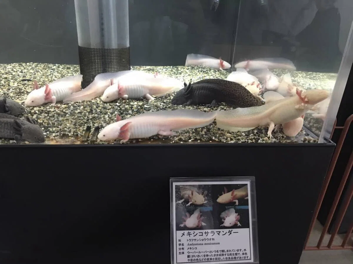 画像61