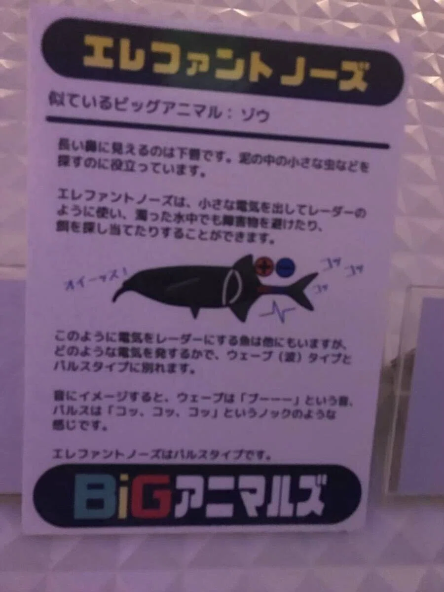 画像60
