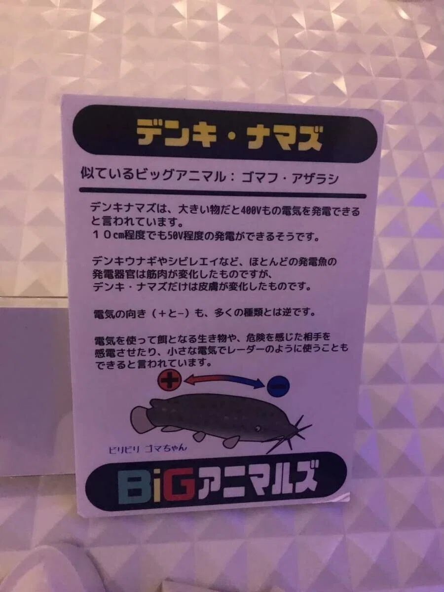 画像58
