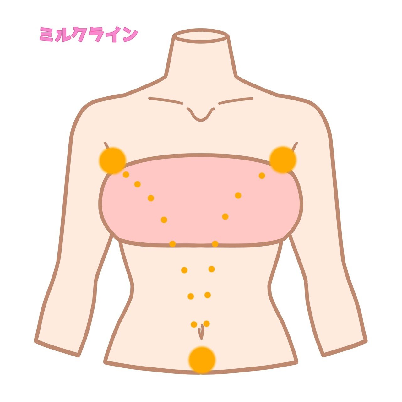 副乳 他人事だと思ってない？副乳の話｜＜公式＞キッシー・KISSY フォロバ100%
