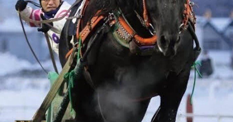 ※After JRAに2重賞とナイター競馬をDoですか?【盛岡9~11レース・佐賀4~7.9.10.11レース・帯広5~9.11.12レース・高知5~10.12レース的中!】【☆地方競馬M5☆】10/17 盛岡競馬・佐賀競馬・帯広競馬・高知競馬