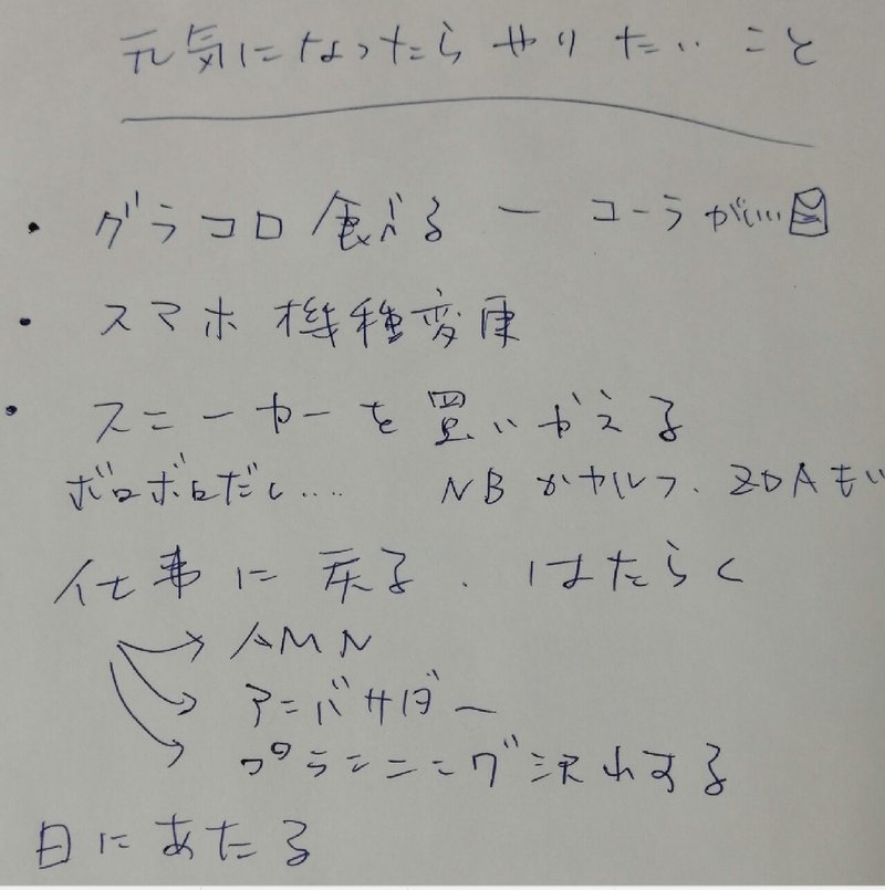 Vol1用の写真_元気になったらやりたいこと