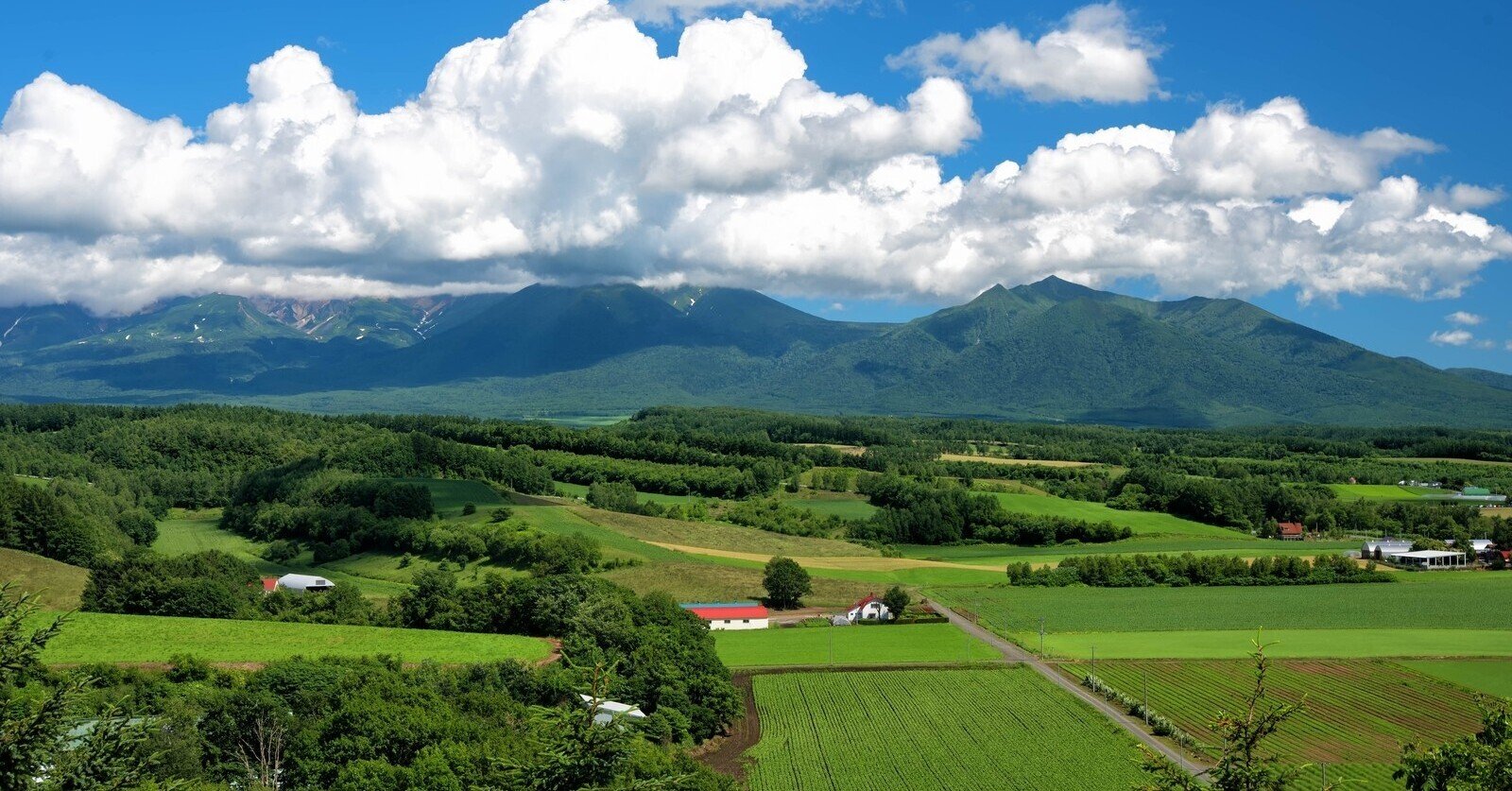 のんのんびより を見てから田舎に移住すると痛い目に遭うよ ひんぽん セミリタイア目指してます Note