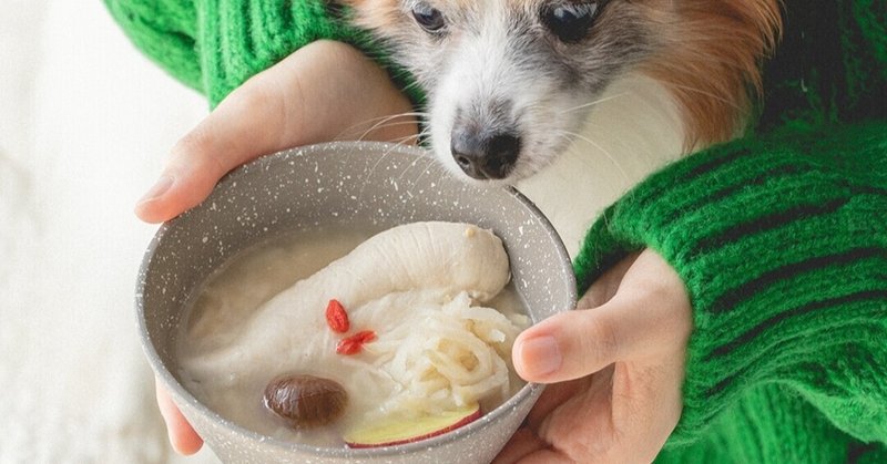 スーパーで買える食材で作る ささみ オートミール参鶏湯 手作り犬おやつレシピ いちかわあやこ 犬ごはん先生 Note スーパーで買える食材で作る ささみ オートミール参鶏湯 手作り犬おやつレシピ いちかわあやこ 犬ごはん先生 Note