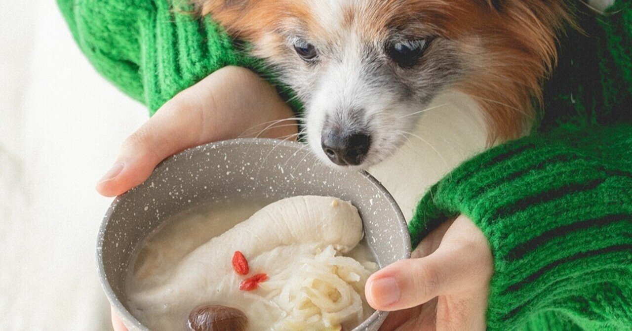 スーパーで買える食材で作る ささみ オートミール参鶏湯 手作り犬おやつレシピ 単品購入 いちかわあやこ 犬ごはん先生 Note