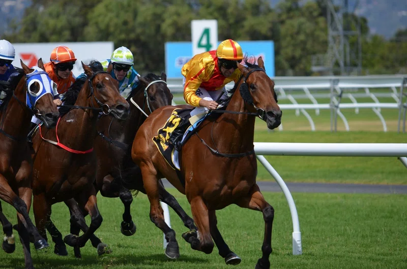 競馬で稼ぐ の新着タグ記事一覧 Note つくる つながる とどける
