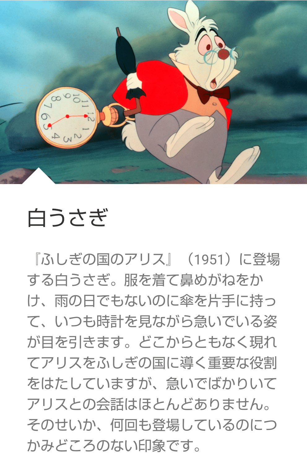 メーカー直送 新生活 ハロウィン アリス 送料無料 通常便なら コスチューム 大人用 靴 チェシャーキャット アリス イン ワンダーランド 白うさぎ 不思議の国 ハロウィン用品 Proceso Hn