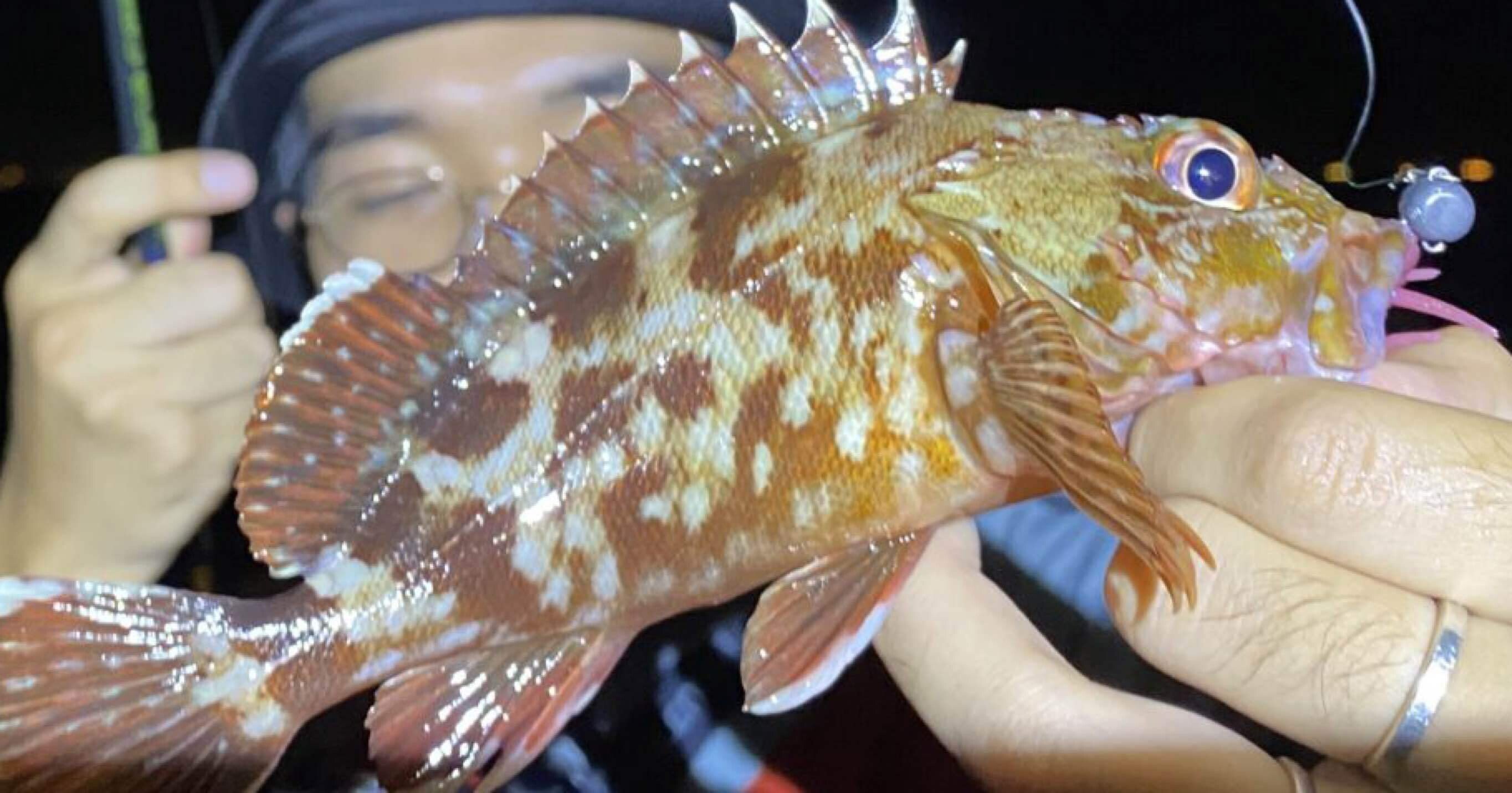 根魚一番 全6色】一誠 海太郎 根魚蟲 ネウオムシ 2.2inch ヘビーソルト