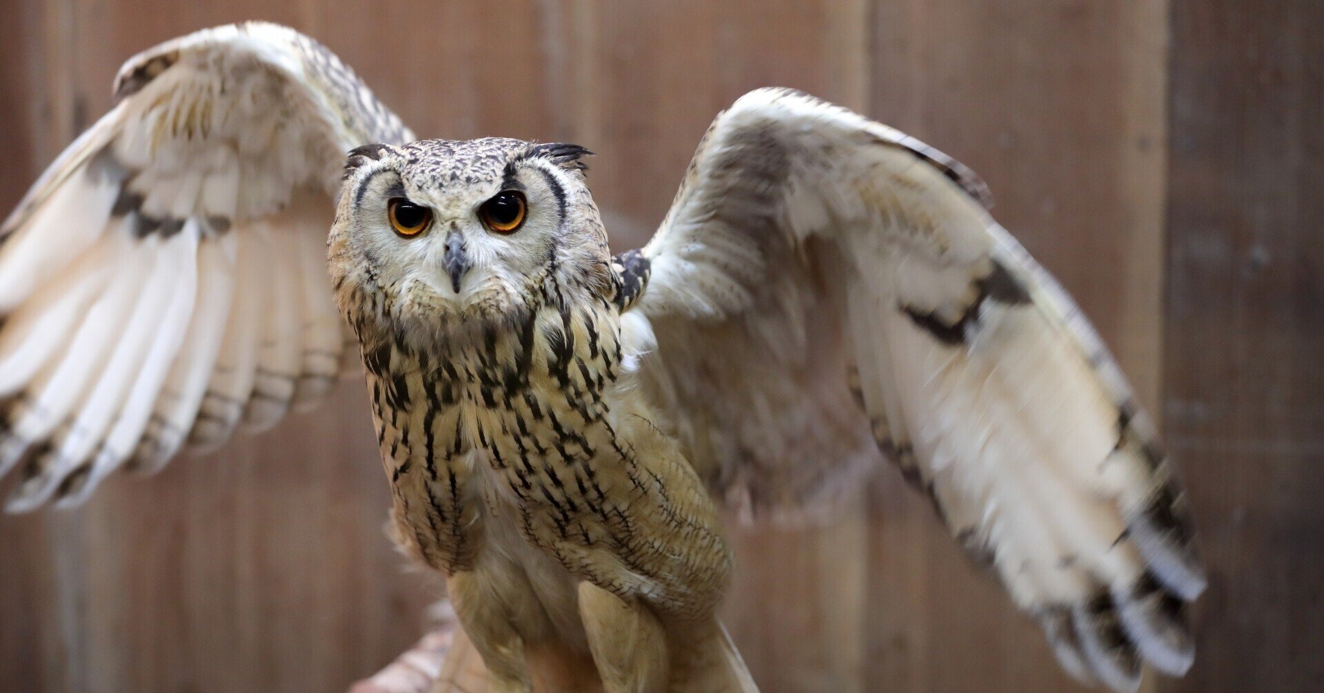 カフェ好き北海道コンサドーレ札幌サポーターにおすすめしたい日産スタジアムグルメ 21 10 16 すず Note カフェ好き北海道コンサドーレ札幌サポーターにおすすめしたい日産スタジアムグルメ 21 10 16 すず Note
