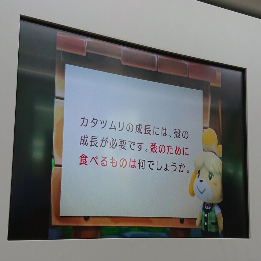 271 釣りの国家資格 Daisukesasaki Note