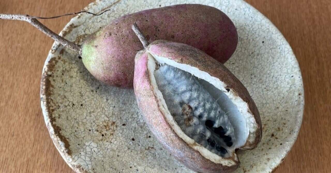 ぐべ むべ と あけび を比べてみた 栗田真希 Note