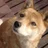 宇野雄 / note inc. CDO