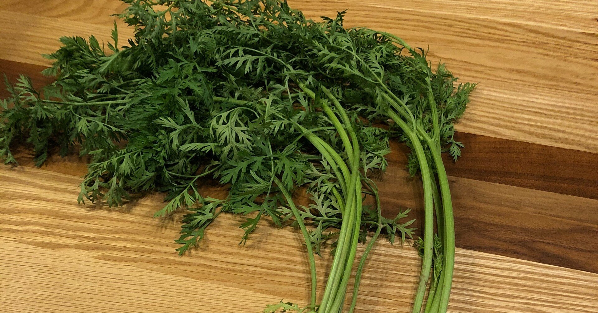 香り春菊、味セロリ～の葉人参さん｜島田春美 ママのみかたひだまり