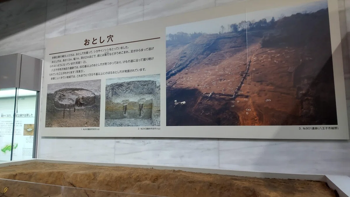 南大沢土木構造物めぐり】No.66 お隣・多摩市の魅力的なニュータウン 多摩ニュータウン遺跡調査報告 Ⅱ〜Ⅴ・Ⅶ