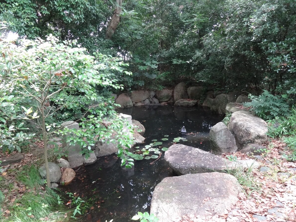 画像24