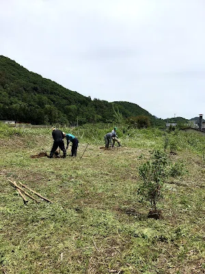 画像5