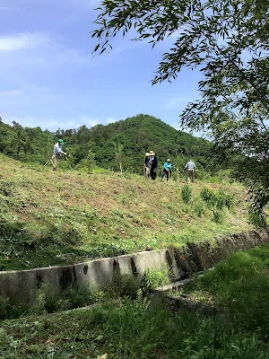 画像8