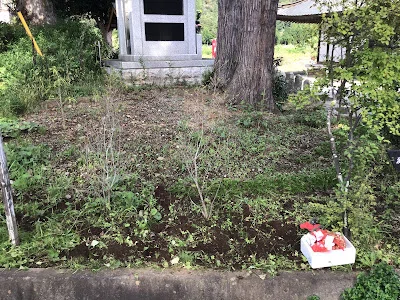 画像5