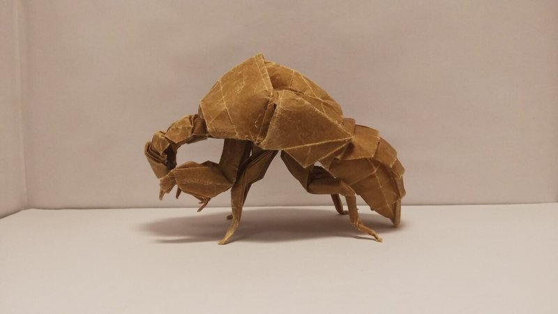 新大祭web展示 新潟大学折り紙サークル Angle Note