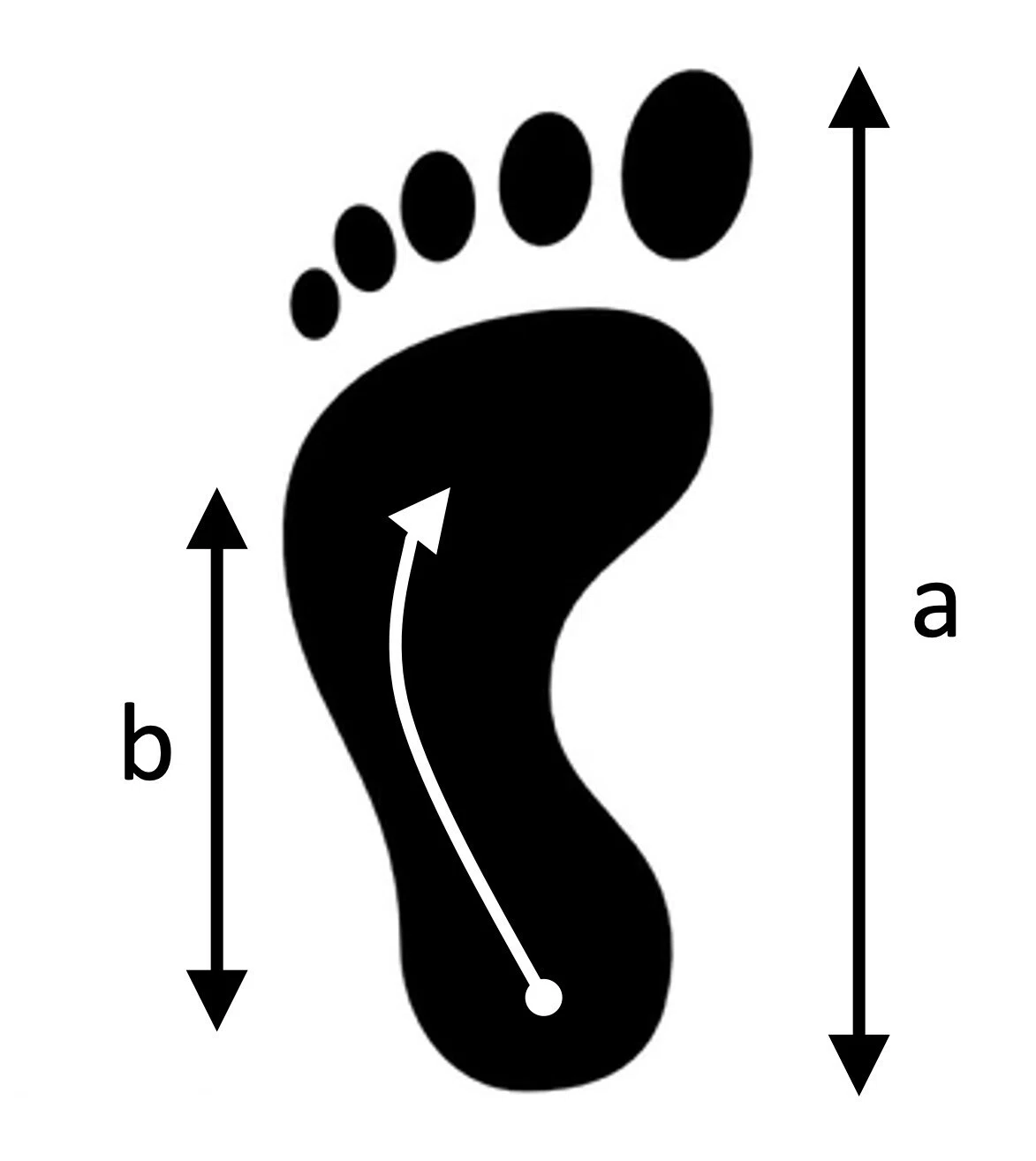 図1