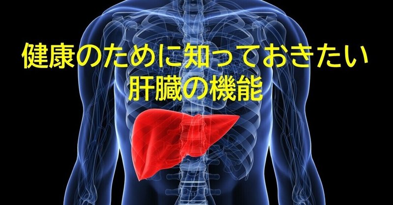 健康のために知っておきたい肝臓の機能