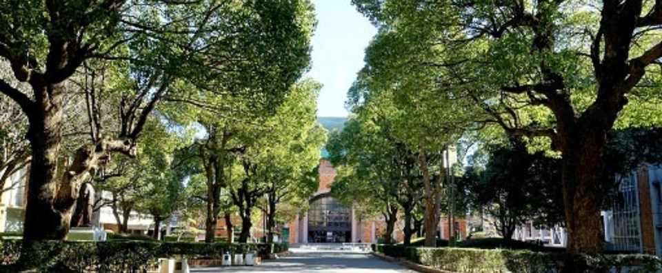 ｆランク大学では卒業の意味はない それって視野が狭すぎますよ ふたひい 読書をする人にしか見えない世界の住人 Note
