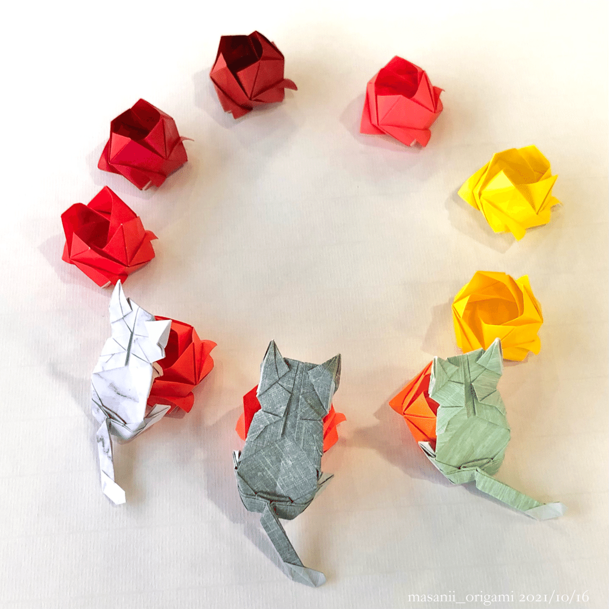 グラデーションが美しい、ちなちゃんの川崎ローズ／Colorful