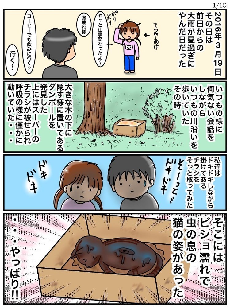 動物虐待 の急上昇タグ記事一覧 Note つくる つながる とどける