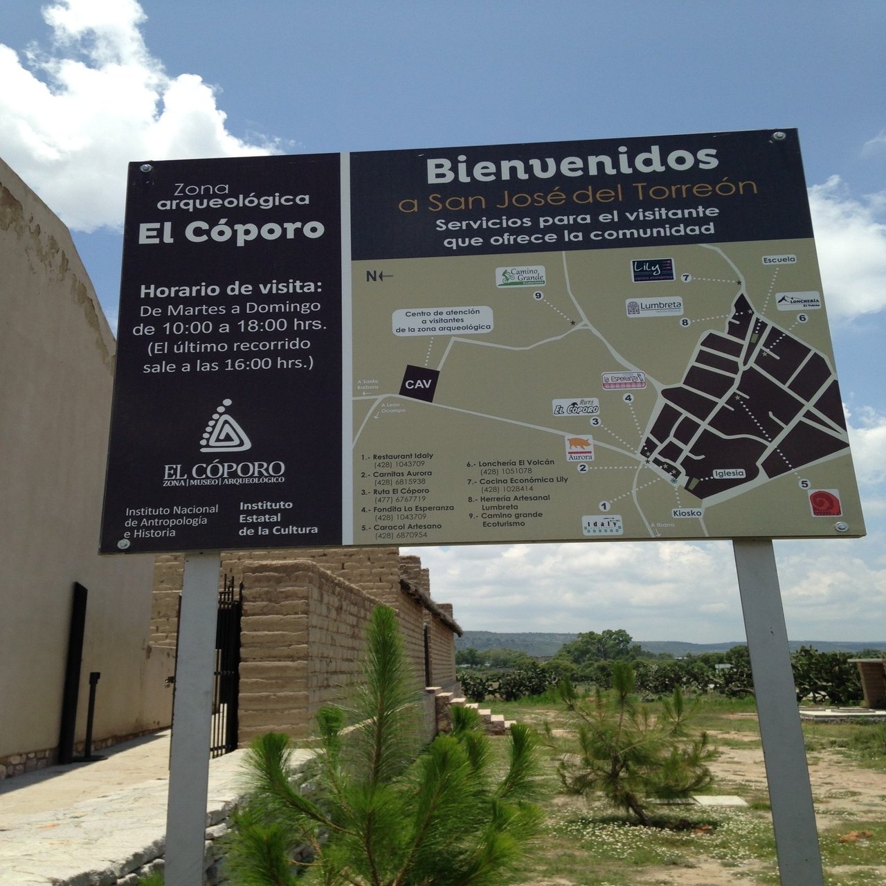 メキシコ駐在中にサンルイスポトシで得た情報など。｜ＷＩＬＤＲＯＡＤＲＵＮＮＥＲ