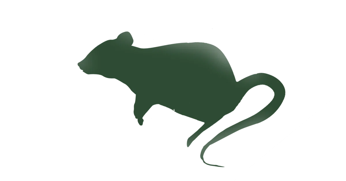 ねずみ