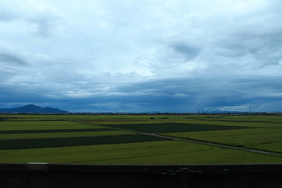 画像8