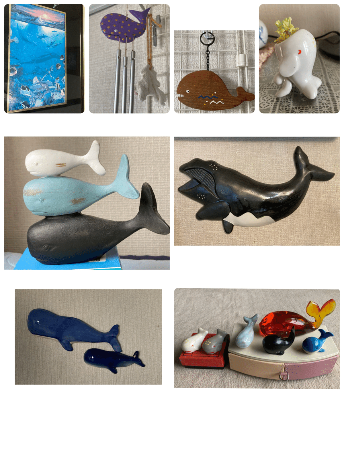 クジラ🐳大好き❤｜mikuji58