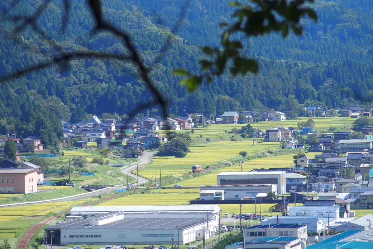 画像41