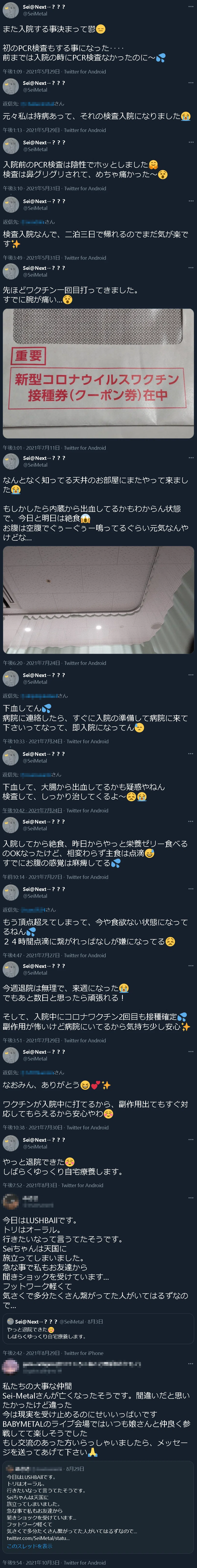 モザイク Seimetal　さん