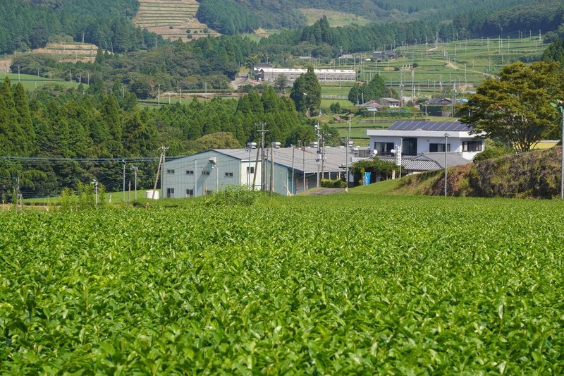 Tealabo Channel 02 自分たちでお茶を作り お客様へ届ける 人付き合いの風景の先にあるもの 宮原光製茶 宮原健さん Tea Labo Note