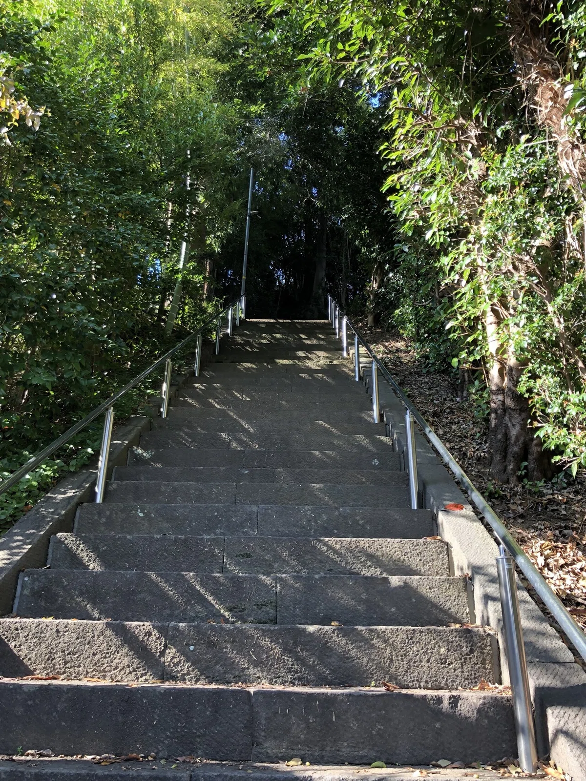 画像19
