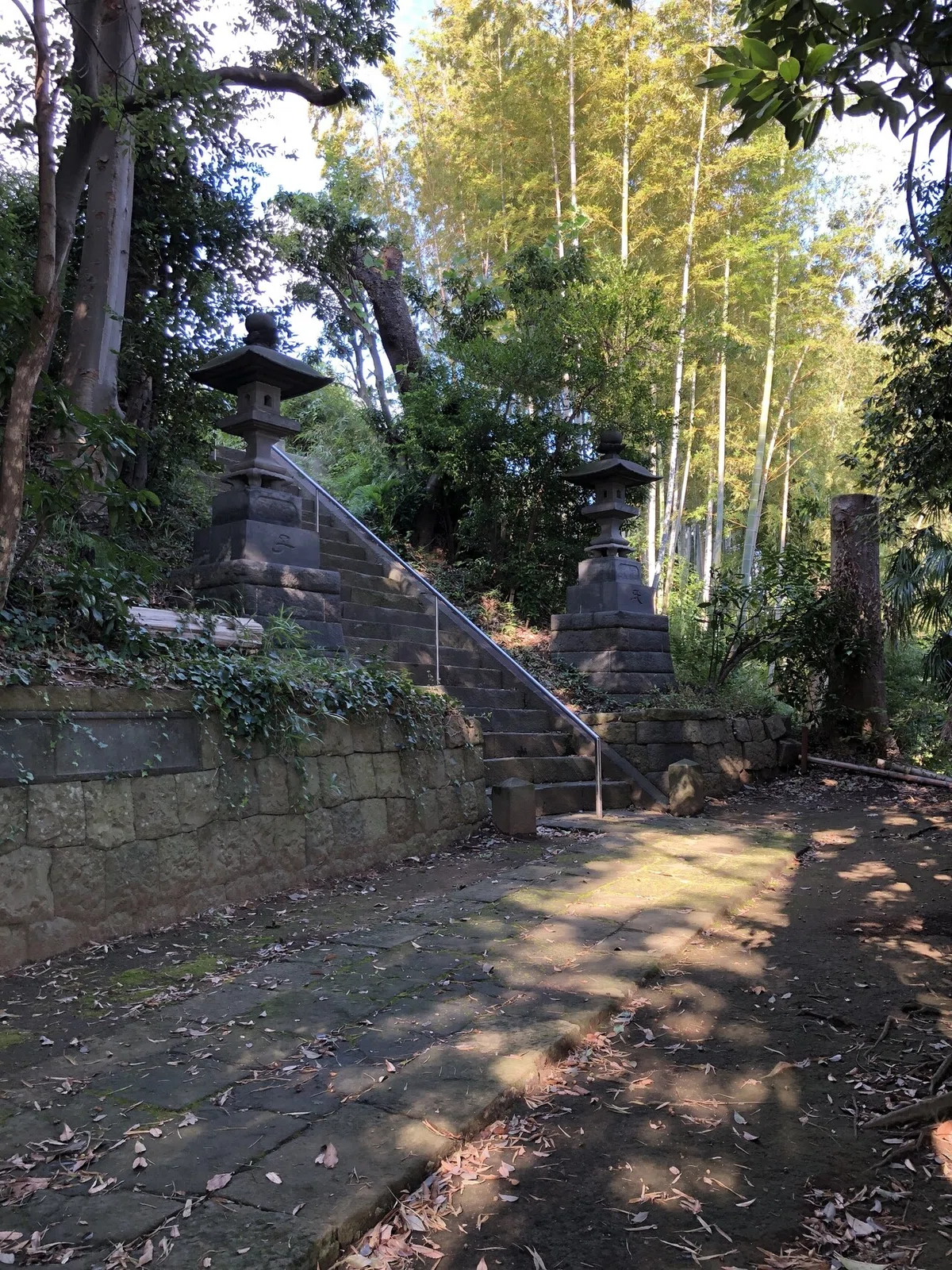 画像20